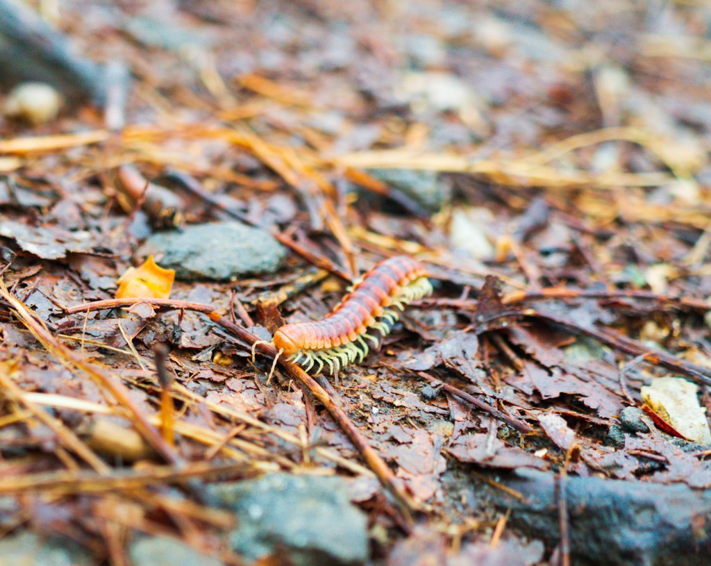 AT 2: Rain,&nbsp;finally