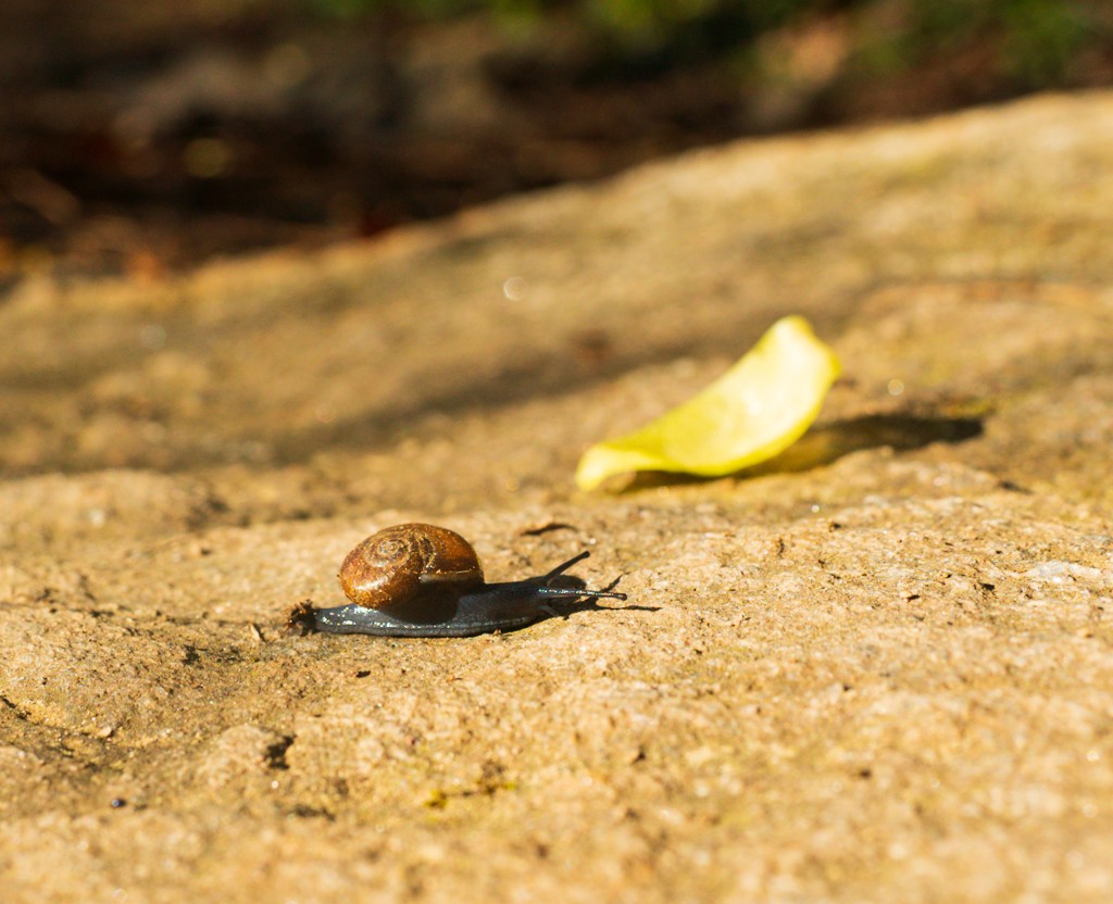 AT 3: Making Camp in Cocaine Bear&nbsp;Country