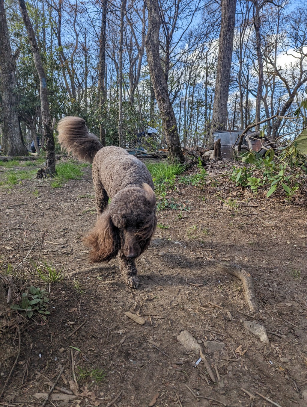 AT 10: Standing Indian&nbsp;Mountain