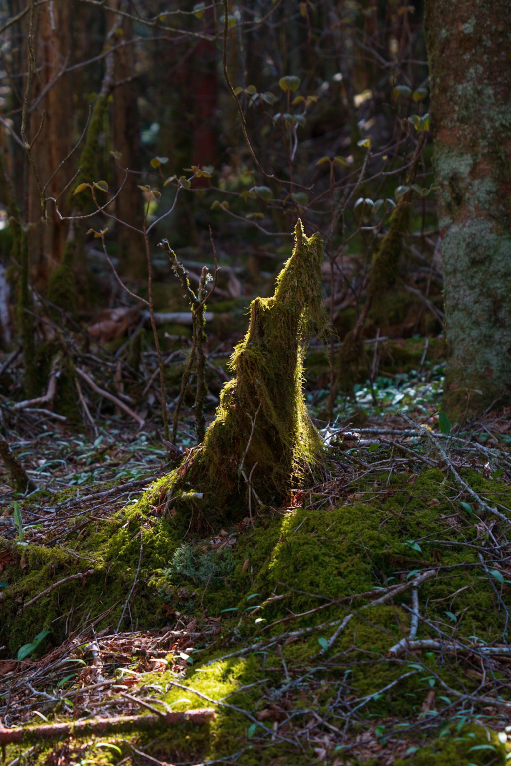 AT 21: It’s all downhill from here, boys and&nbsp;girls