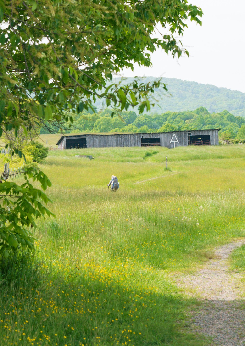 AT 41: Ridge&nbsp;Walking