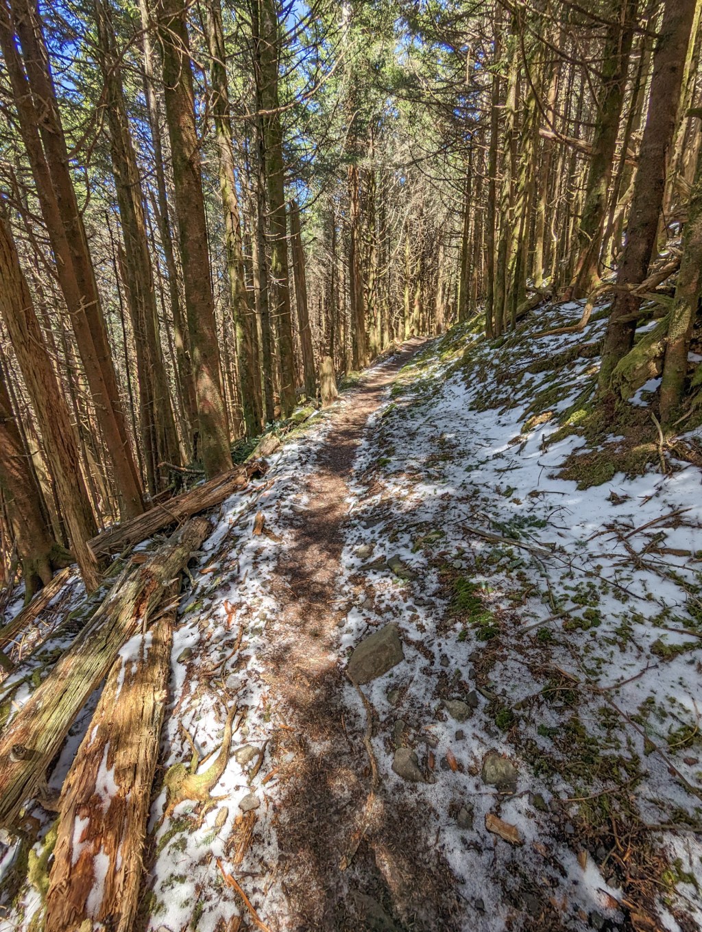 AT 22: Big Trees, Big&nbsp;Days