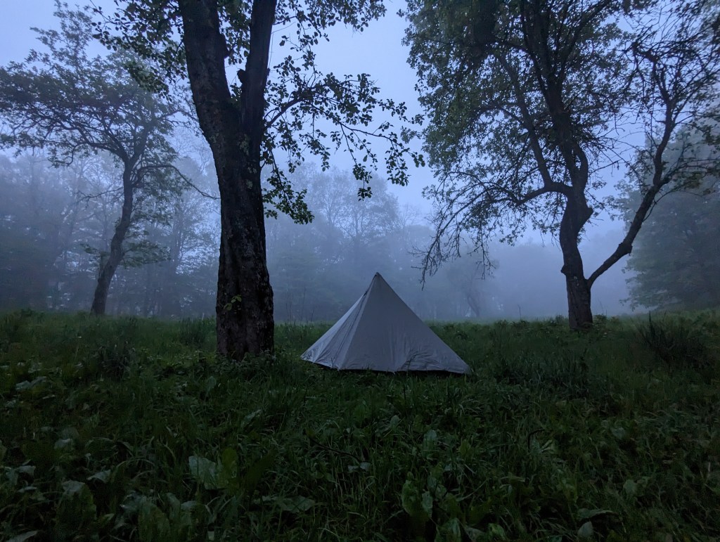 AT 33: Unaka Mountain, Old Apple&nbsp;Orchard