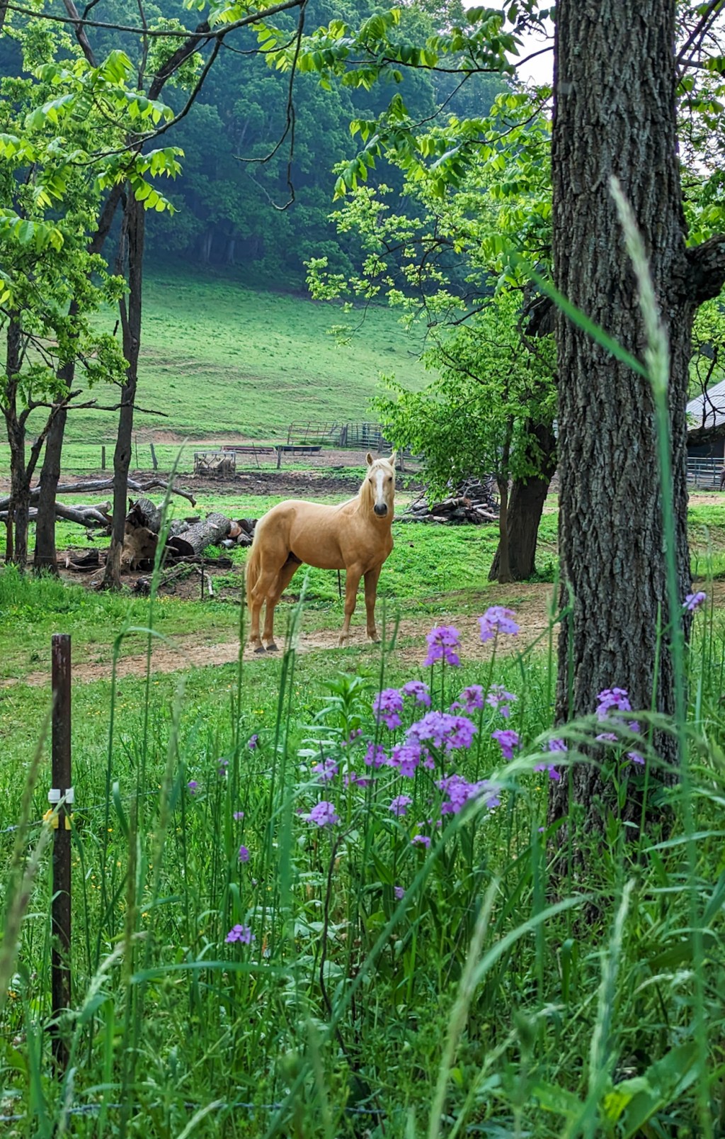 AT 43: Walking Out Of&nbsp;Damascus