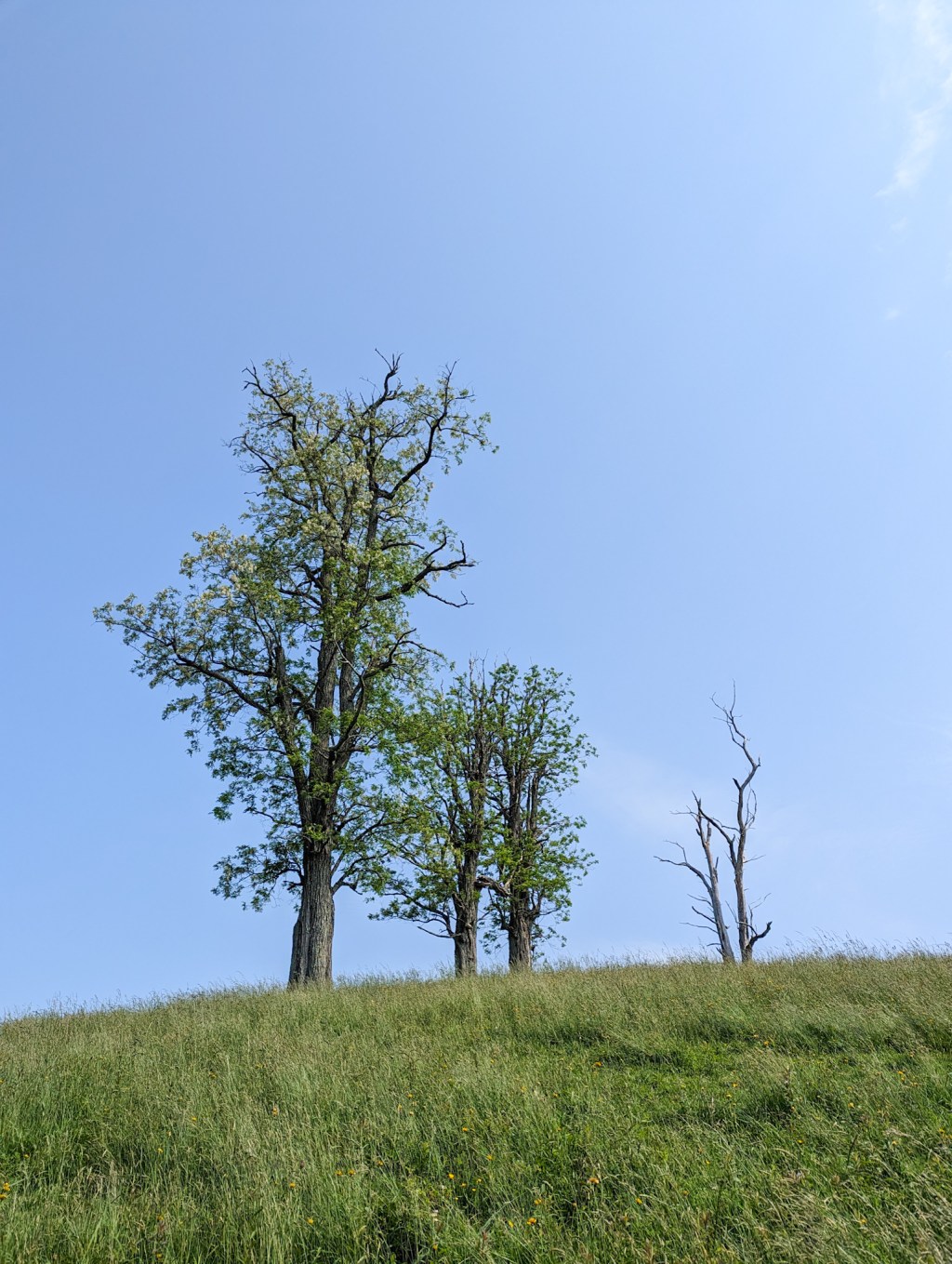 AT 44: Uphill&nbsp;Walking