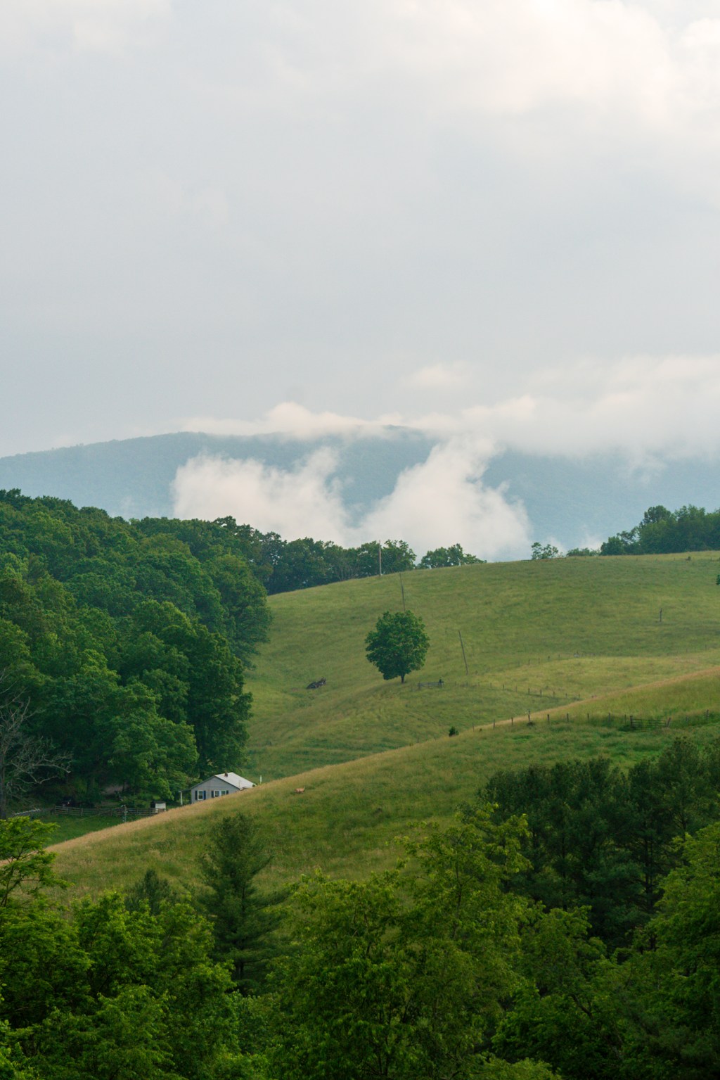 AT 53: Slackpacking,&nbsp;HB