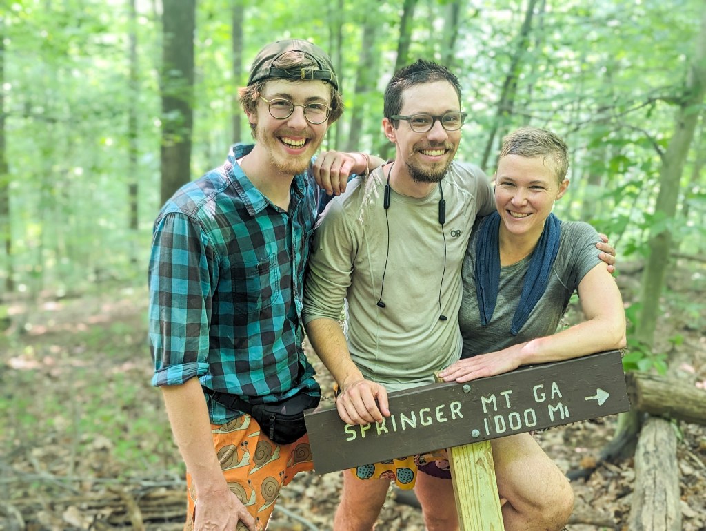 AT 78: Rollercoaster