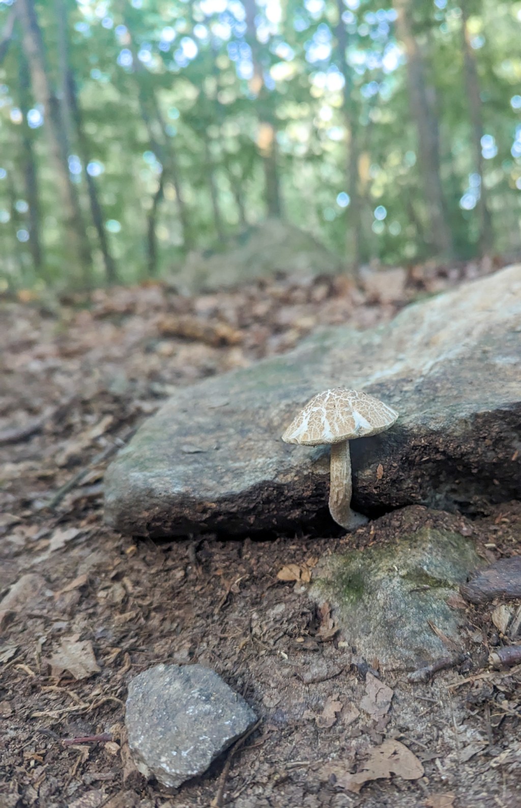 AT 87: 10 before&nbsp;12