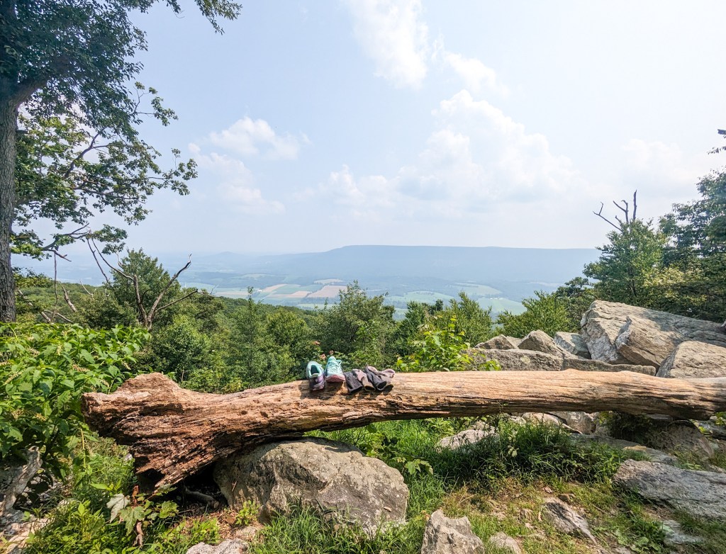 AT 97: Reunited With Buckeye&nbsp;Boy