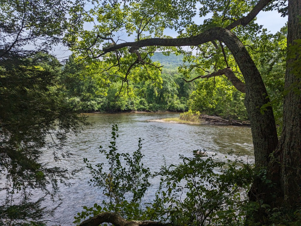 AT 115: Creek&nbsp;Crossings