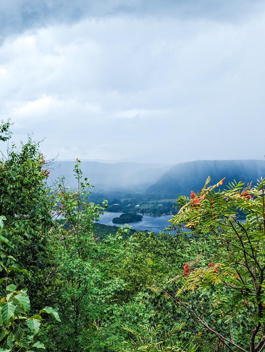 AT 123: Halfway Up Mount Greylock