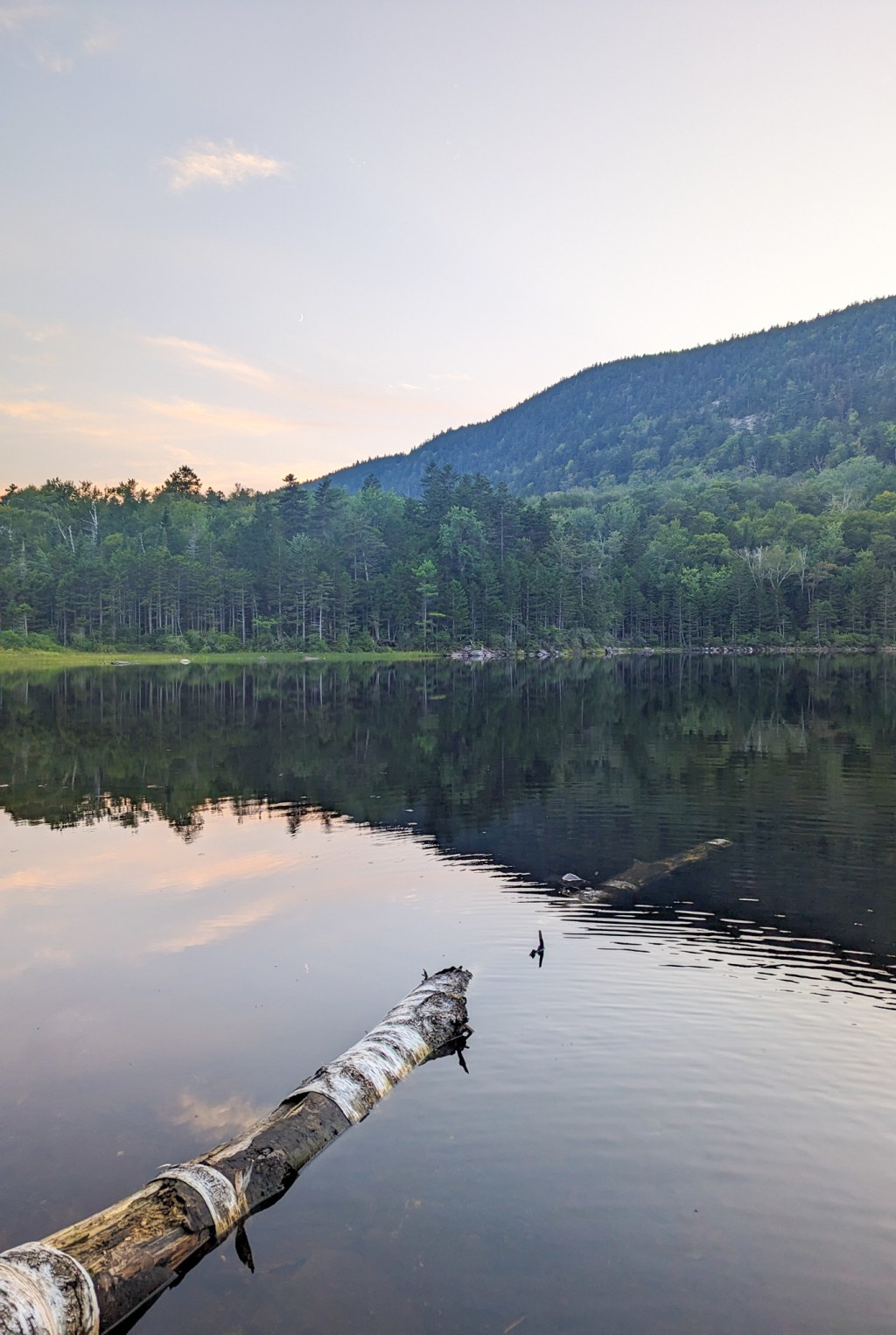 AT 130: Little Rock&nbsp;Pond